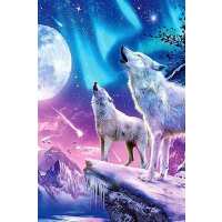 Lesen Picmondoo GmbH Bewertungen